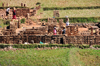 RN2, Antananarivo Province, Madagascar: mud brick industry in the middle of rice fields - photo by M.Torres