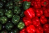 Funchal: a bandeira Portuguesa em pimentos / the Portuguese flag in peppers - photo by F.Rigaud