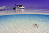 Pulau Mabul, Sabah, Borneo, Malaysia: diveboat in shallow clear blue water with starfish in the white sand - photo by S.Egeberg