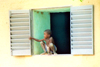 Djenn, Mopti Region, Mali: kid observing the monday market from his window - photo by N.Cabana