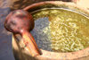 Mali - Mud cloth - ingredients for dying - photo by E.Andersen