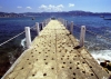 Mexico - Acapulco de Juarez / ACA (Guerrero state): old pier (photo by Andrew Walkinshaw)