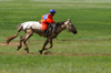 Ulan Bator / Ulaanbaatar, Mongolia: Naadam festival - horse racing - young jockey - Hui Doloon Khutag - photo by A.Ferrari