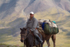 Mongolia - Uvs province: hearder with a camel - photo by A.Summers