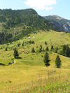 Montenegro - Crna Gora - Durmitor national park: uphill - photo by J.Kaman