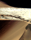 Namibia: Aerial view of Deadvlei - dead trees and dune, Hardap region - photo by B.Cain