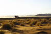 Namib Desert - Sossusvlei, Hardap region, Namibia: travelling by 4wd at sunrise - Namib-Naukluft National Park - photo by Sandia