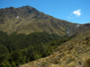 22 New Zealand - South Island - Ben Lomond - Otago region (photo by M.Samper)