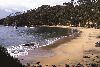 New Zealand - New Zealand - Stewart island: Halfmoon Bay - beach (photographer: Rob Neil)