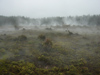 New Zealand - North Island - Craters Of the Moon - Taupo Volcanic Zone - Bay of Plenty region - photo by M.Samper