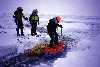 Arctic Ocean: crossing a narrow lead - improvised bridge (photo by Eric Philips)