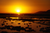 Lake Titicaca, Puno region, Peru: golden sunrise - photo by C.Lovell