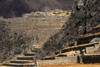 Ollantaytambo, Cuzco region, Peru: temple at the top and stone terraces still used today - Sacred Valley- photo by C.Lovell