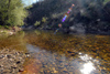 Portugal - Milreu (Vila de Rei): by the water - praia fluvial - photo by M.Durruti