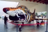 Lisbon: Fiat G-91 con tanques de Napalm - camuflagem da guerra colonial / Fiat G-91 with Napalm tanks - Parque das Naes - photo by M.Durruti