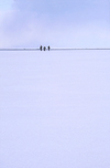 Lake Baikal, Irkutsk oblast, Siberian Federal District, Russia: three people on the horizon - Buryats on the frozen lake surface - winter scene -  UNESCO World Heritage site - photo by B.Cain