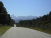 Tsitsikamma National Park,  Western Cape, South Africa: scenic drive along a forest lined road - Garden Route - photo by D.Steppuhn