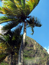 La Soufrire - view of Petit Piton - photo by P.Baldwin