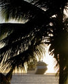 St Lucia: La Soufrire - cruise ship and palm - photo by P.Baldwin