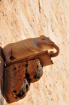 Cagliari, Sardinia / Sardegna / Sardigna: Elephant Tower - elephant sculpture, a symbol of Pisa - Torre dell'Elefante - quartiere Castello - photo by M.Torres