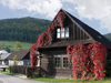 Slovakia - Cicmany village: folk architecture reserve - Zilina district - photo by J.Kaman