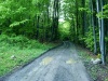 Slovakia - Hrochot: road across the forest (photo by Milos Bercik)