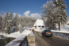 Slovenia - bridge beside Bohinj Lake - photo by I.Middleton