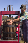 Slovenia - Jance: making apple cider at the Chestnut Sunday festival - photo by I.Middleton