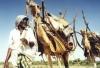 Berbera (Somaliland / Soomaaliland): nomads in maigration, their house on their camels - caravans carry ghee, frankincense, myrrh (photo by Silvia Montevecchi)