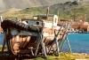 South Georgia Island - Grytviken: abandoned boat (photo by G.Frysinger)