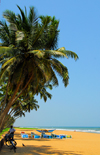 Wadduwa, Western province, Sri Lanka: tropical beach - coconut trees and the Indian ocean - Blue Water Hotel - photo by M.Torres