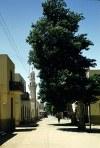 Sudan - Wadi Halfa: street and mosque (photo by Galen Frysinger)