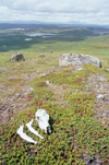 Sweden - Peljekaise national park (Norrbottens Ln): not quite the Valley of Death (photo by J.Kaman)