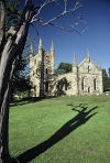 Australia - Tasmania - Port Arthur settlement: church ruins under an old eucalyptus - Southern Tasmania (photo by Picture Tasmania/S.Lovegrove)