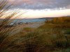 Tasmania - Ringarooma Bay: beach (photo by Fiona Hoskin)