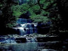 Tasmania - Liffey Forest Reserve: Lower Liffey Falls - Central Plateau Conservation Area - Tasmanian Wilderness (photo by Luca dal Bo)