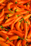 Thailand, Bangkok: orange chillies - photo by J.Pemberton