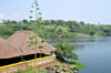 Jinja, Uganda: source of the Nile river - small boat terminal and century plant - photo by M.Torres