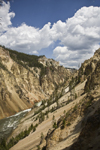 Yellowstone National Park, Wyoming, USA: the Grand Canyon of the Yellowstone below the falls - the river was named for the yellow rocks on the canyon's banks - photo by C.Lovell