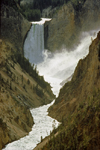 Yellowstone National Park, Wyoming, USA: Yellowstone Falls - photo by C.Lovell