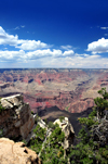 Grand Canyon National Park, Arizona, USA: South Rim - canyon carved by the Colorado River - Bright Angel Canyon - photo by M.Torres