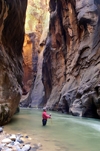 Zion National Park, Utah, USA: Virgin River Narrows - Wall Street section - angler - photo by B.Cain