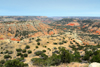 Palo Duro Canyon State Park, Texas, USA: second largest canyon in the USA Texas, formed by the Prairie Dog Town Fork of the Red River, part of the Caprock Escarpment - Texas Panhandle - photo by M.Torres