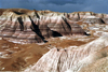 USA - Cocoa Mountains - Petrified Forest (Arizona) - Photo by G.Friedman