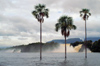 166 Venezuela - Bolivar - Canaima National Park - palm trees and waterfalls, in the Canaima lagoon - photo by A. Ferrari