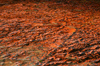 204 Venezuela - Bolvar - Canaima - Gran Sabana - Quebrada de Jaspe- Jaspe rocks under the creek - photo by A. Ferrari