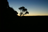 44 Venezuela - Bolivar - Canaima NP - Just before sunrise, at the top of Roraima - photo by A. Ferrari