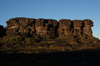 68 Venezuela - Bolivar - Canaima NP - Roraima vegetation in the early morning light - photo by A. Ferrari