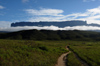 81 Venezuela - Bolivar - Canaima NP - The Roraima tepuy in the morning light - photo by A. Ferrari