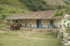 80 Venezuela - Los Nevados - an old hacienda   - photo by A. Ferrari